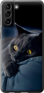 Чехол Дымчатый кот для Samsung Galaxy S21 Plus