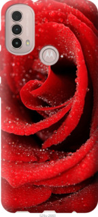 

Чохол Червона троянда на Motorola E40 1574213