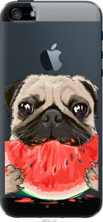 

Чехол Мопс и арбуз для iPhone SE 1568214