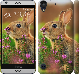 

Чохол Кролик і квіти на HTC Desire 630 304732