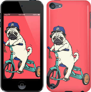 

Чохол Мопс на велосипеді на iPod Touch 5 87524