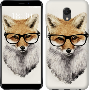 

Чехол Лис в очках для Meizu M6s 634464