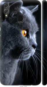 Чохол Гарний кіт на Huawei Honor 8X