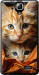 Чохол Котики 2 на Lenovo A536