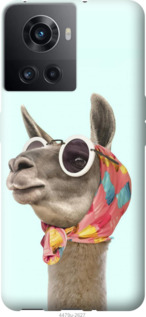 

Чохол Модна лама на OnePlus 10R 1427929