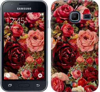 

Чехол Цветущие розы для Samsung Galaxy J1 Mini J105H 235691