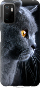 Чехол Красивый кот для Xiaomi Poco M3 Pro