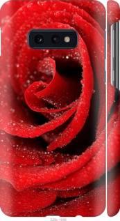

Чехол Красная роза для Samsung Galaxy S10e 948373