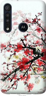 

Чохол Квітучий кущ на Motorola One Macro 1589294