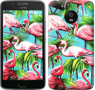 

Чехол Tropical background для Motorola Moto G5 640033