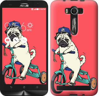 

Чохол Мопс на велосипеді на Asus Zenfone 3 ZE520KL 87832