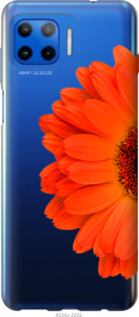 

Чехол Гербера 1 для Motorola Moto G Plus 1589634