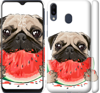 

Чехол Мопс и арбуз для Samsung Galaxy M20 843453