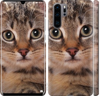 

Чехол Полосатый котик для Huawei P30 Pro 704650
