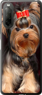 

Чохол Нарисованный йоркширский терьер для iPhone на Sony Xperia 10 II 1634802