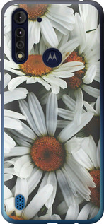 

Чохол Ромашки v2 на Motorola G8 Power Lite 1624459