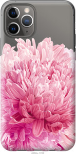

Чохол Хризантема на iPhone 12 1068641
