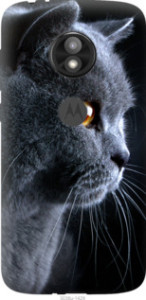 Чехол Красивый кот для Motorola Moto E5 Play