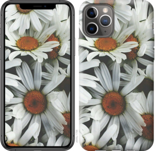 

Чохол Ромашки v2 на iPhone 11 Pro 781568