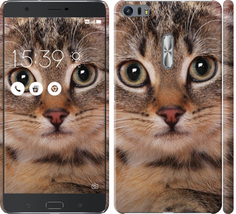 

Чехол Полосатый котик для Asus Zenfone 3 Ultra ZU680KL 655462