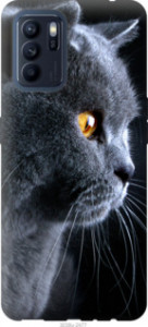 Чехол Красивый кот для Oppo Reno6 Z