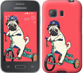 

Чохол Мопс на велосипеді на Samsung Galaxy Young 2 G130h 642785