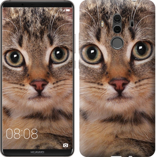 

Чохол Смугастий котик на Huawei Mate 10 Pro 655452