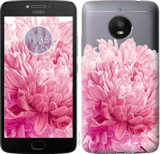 

Чехол Хризантема для Motorola Moto E4 Plus 844629