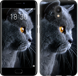 

Чохол Гарний кіт на Meizu M6 626661