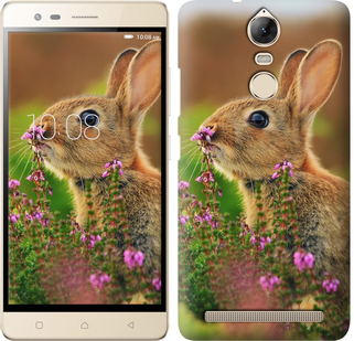 

Чехол Кролик и цветы для Lenovo Vibe K5 Note A7020a40 468451