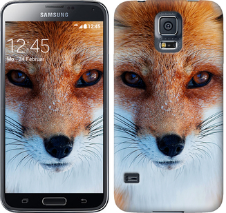 

Чехол Рыжая лисица для Samsung Galaxy S5 Duos SM G900FD 577797