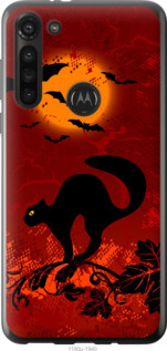 

Чохол Чёрная кошка под луной для Motorola G8 Power 1422572