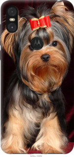 

Чохол Йоркширський тер'єр на Motorola One 1008940