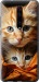 Чохол Котики 2 на Xiaomi Mi 9T