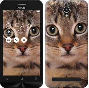 

Чохол Смугастий котик на Asus ZenFone Go ZC451TG 175844