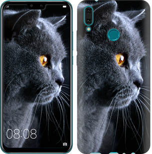 

Чехол Красивый кот для Huawei Y9 2019 687618