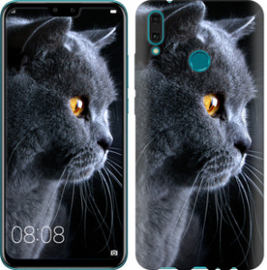 Чохол Гарний кіт на Huawei Y9 2019
