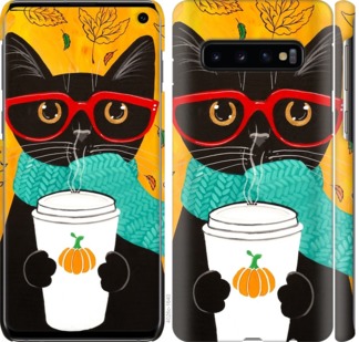 

Чехол Осенний кот для Samsung Galaxy S10 702718