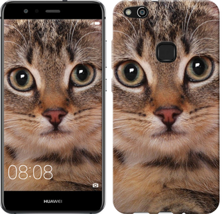 

Чехол Полосатый котик для Huawei P10 Lite 655446