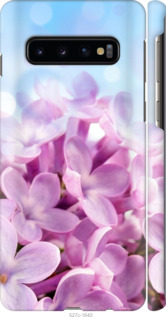

Чохол Бузок на Samsung Galaxy S10 1013983