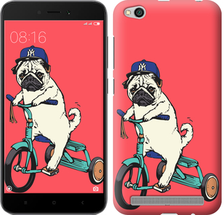 

Чохол Мопс на велосипеді на Xiaomi Redmi 5A 642824