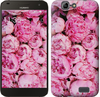 

Чохол Півонії v3 на Huawei Ascend G7 380950