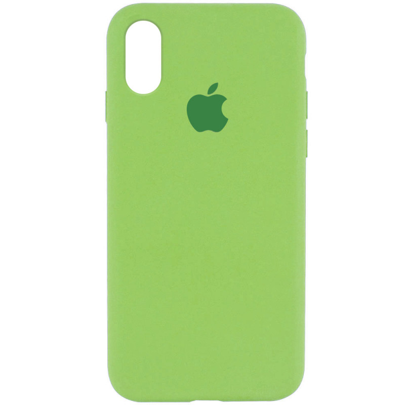 Чехол Silicone Case Full Protective (AA) для Apple iPhone XR (6.1") (Мятный / Mint)