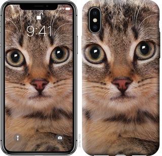 

Чехол Полосатый котик для iPhone XS Max 675801