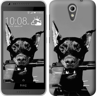 

Чехол Доберман для HTC Desire 620 122775