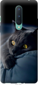 Чехол Дымчатый кот для OnePlus 8