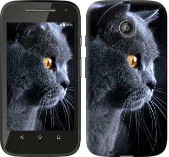 

Чехол Красивый кот для Motorola Moto E2 242661