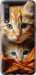 Чехол Котики 2 для Xiaomi Mi9