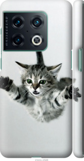 

Чохол Кошеня шо летить на OnePlus 10 Pro 1581119