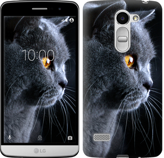 

Чохол Гарний кіт для LG Ray 242637
